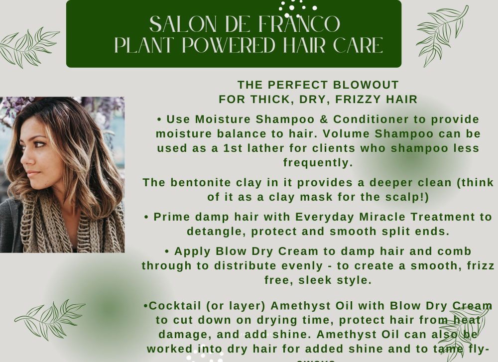 The Perfect Blowout For Thick Dry Frizzy Hair